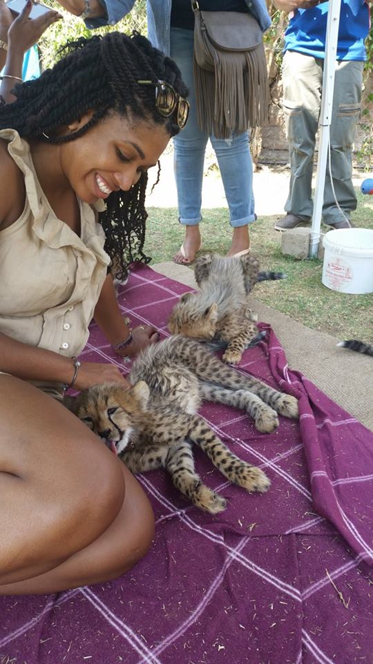 Baby cheetahs!