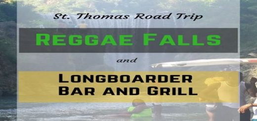 Reggae Falls and Longboarder Bar and Grill