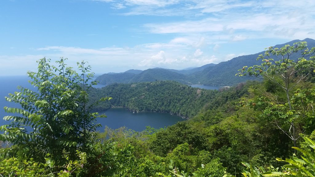 Scenic View of Maracas bay